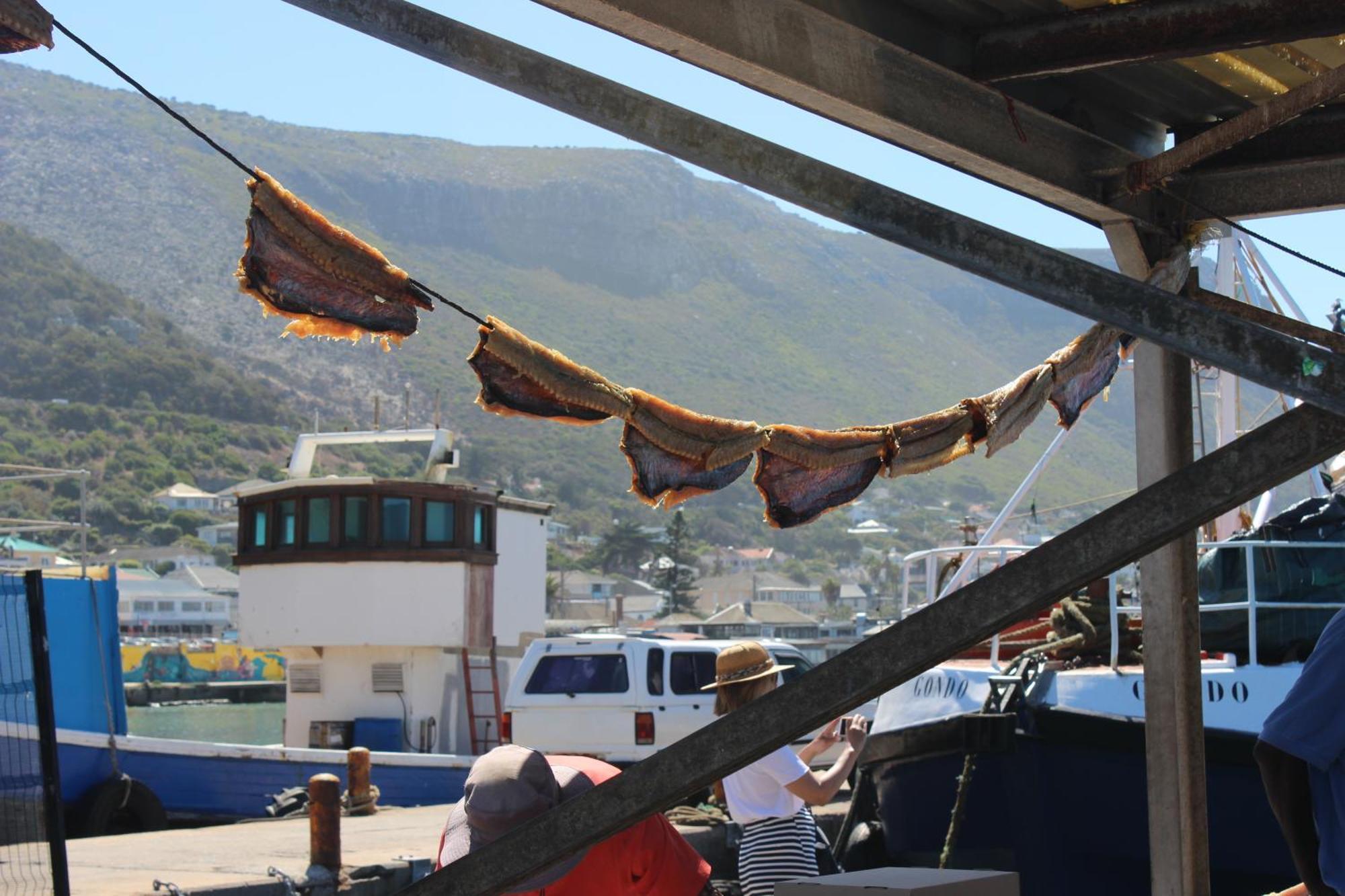 Harbour Views Leilighet Kalk Bay Eksteriør bilde